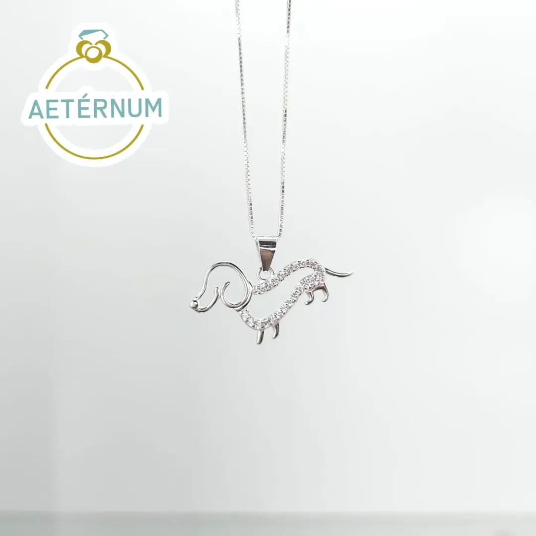Collar de Perro Salchicha 🐕| Plata 925